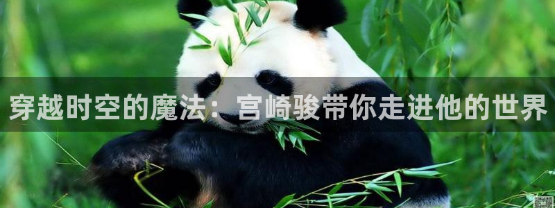 在线里番动漫